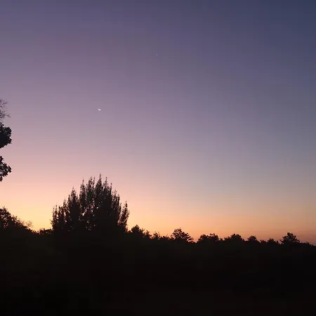 Francesca ヴィラ *