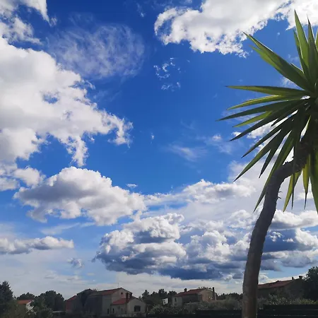 Francesca ヴィラ *