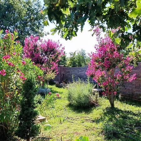 Francesca ヴィラ *