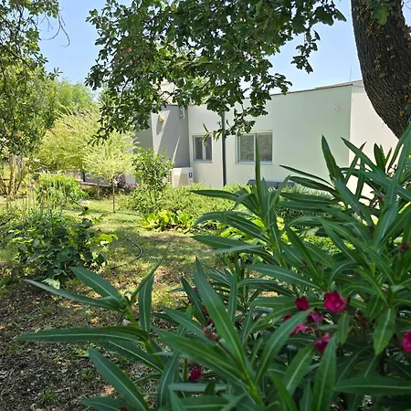 Francesca * Štokovci