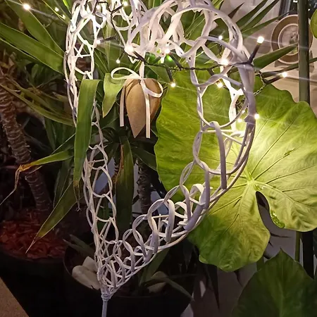 Francesca ヴィラ *